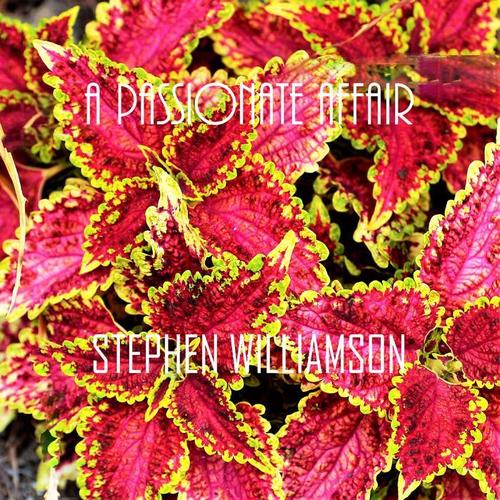A Passionate Affair