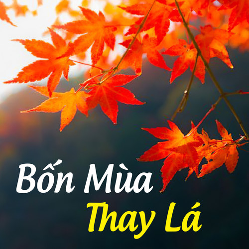 Bốn mùa thay lá