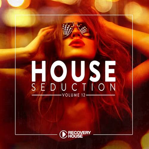 House Seduction, Vol. 12