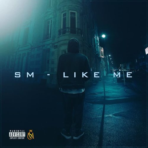 Like Me (Explicit)