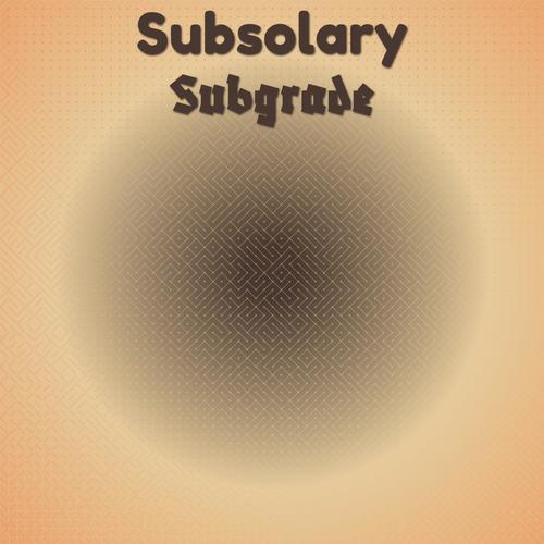 Subsolary Subgrade