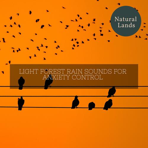 Light Forest Rain Sounds for Anxiety Control