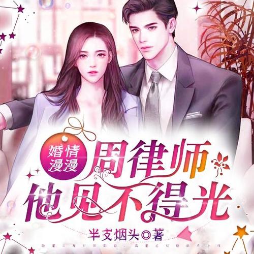 婚情漫漫，周律师他见不得光