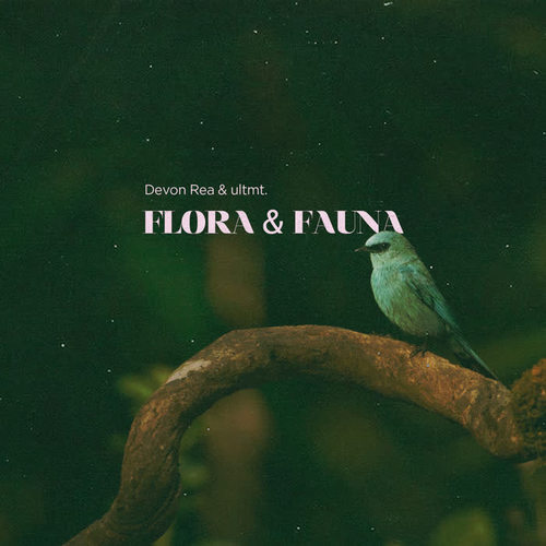 Flora & Fauna