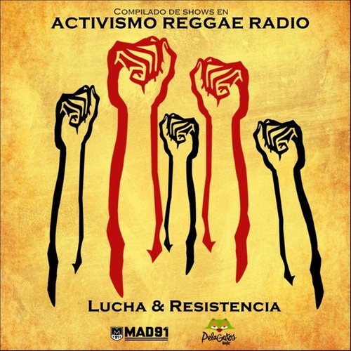 Lucha & Resistencia: Compilado de Shows en Activismo Reggae Radio