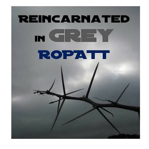 Reincarnated In Grey