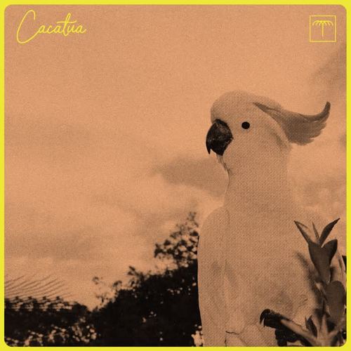 Cacatua