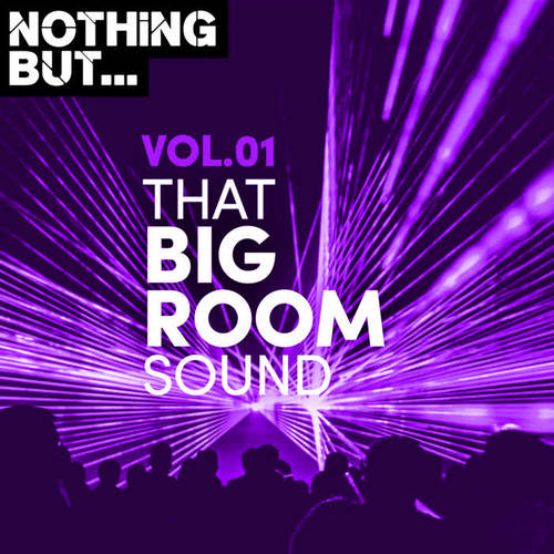 Nothing But... That Big Room Sound, Vol. 01