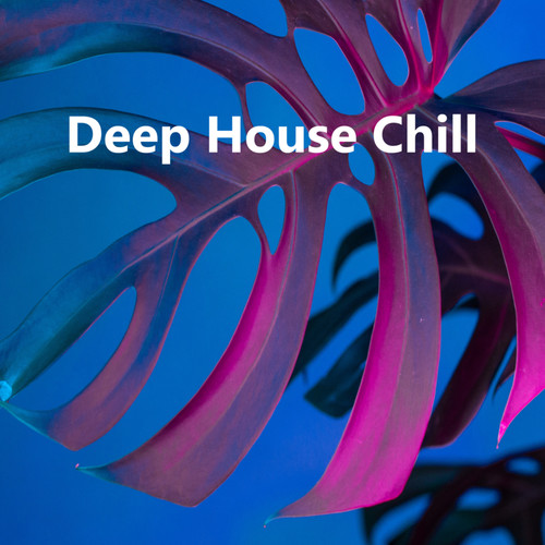 Deep House Chill (Explicit)