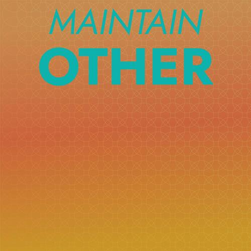 Maintain Other