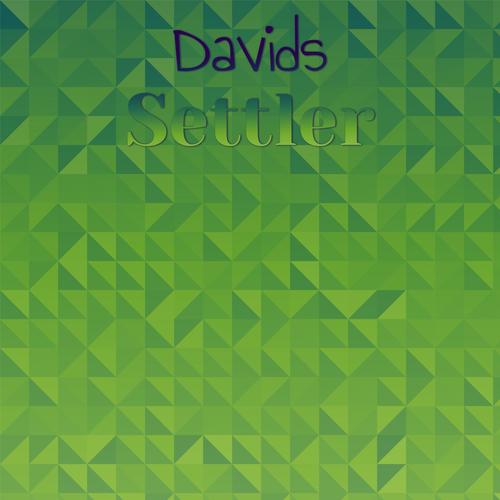 Davids Settler