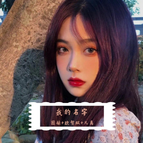 我的名字
