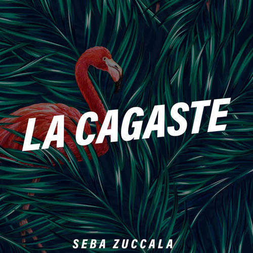 La Cagaste (Explicit)