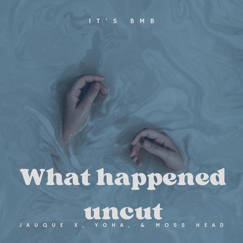 What Happened (Uncut) [Explicit]