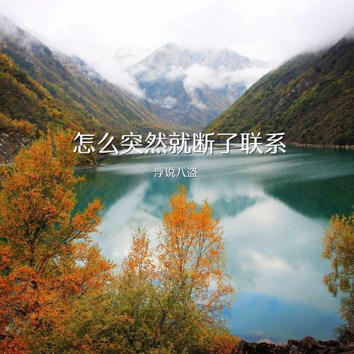 怎么突然就断了联系