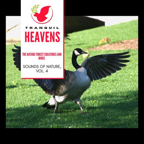 The Nature Forest Creatures and Birds - Sounds of Nature, Vol. 4