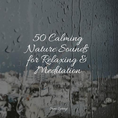 50 Calming Nature Sounds for Relaxing & Meditation