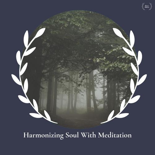 Harmonizing Soul With Meditation