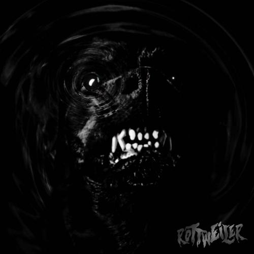 Rottweiler (feat. Koshee & Kinai) [Explicit]