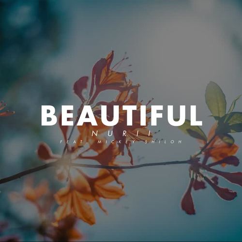 Beautiful (feat. Mickey Shiloh)