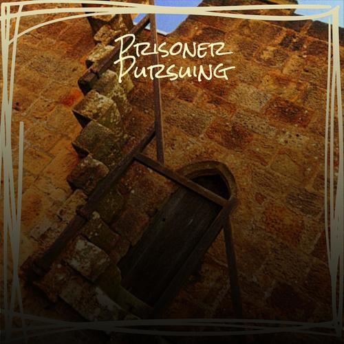 Prisoner Pursuing