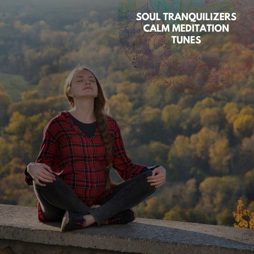 Soul Tranquilizers Calm Meditation Tunes