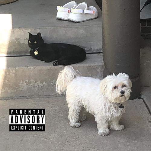 Yin & Yang (Explicit)