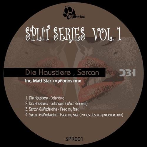 Split Series Vol.1