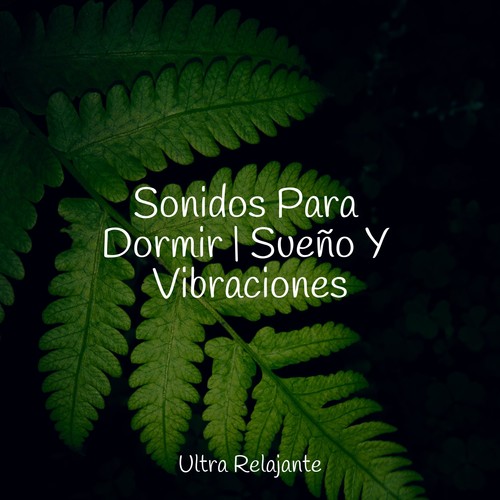 Sonidos Para Dormir | Sueño Y Vibraciones