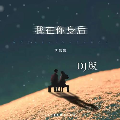 我在你身后 (DJ王亚鹏版)