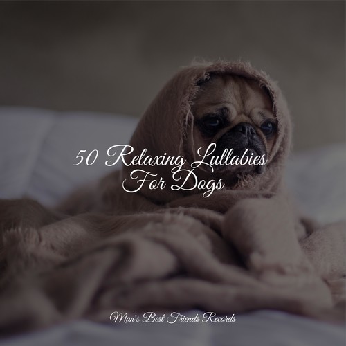 50 Relaxing Lullabies For Dogs