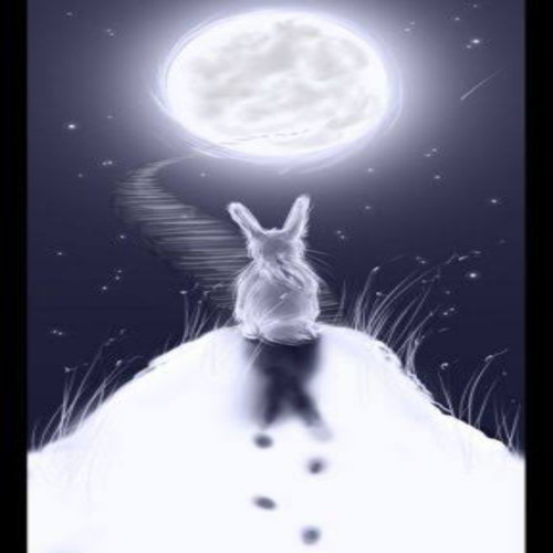 Rabbit Game Starting