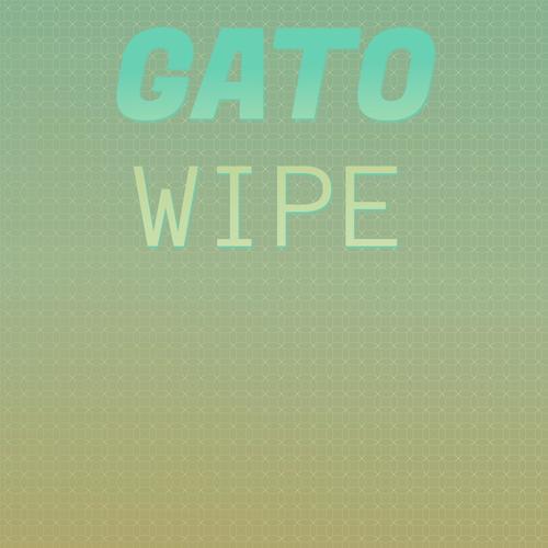 Gato Wipe