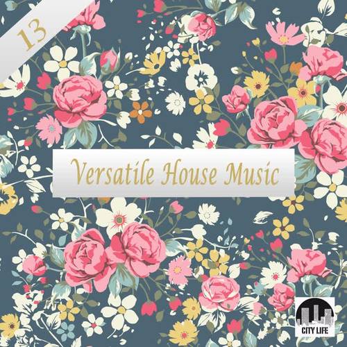 Versatile House Music, Vol. 13