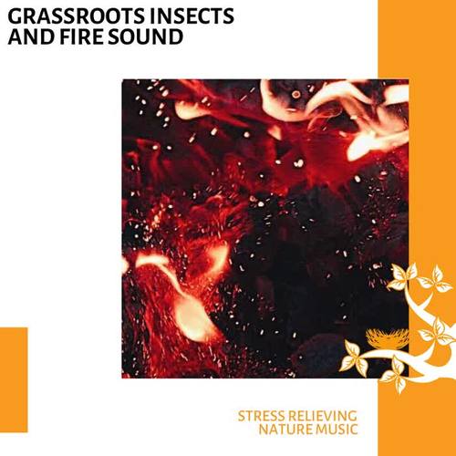 Grassroots Insects and Fire Sound - Stress Relieving Nature Music