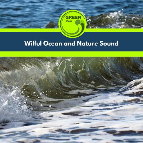 Wilful Ocean and Nature Sound