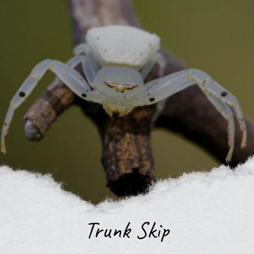 Trunk Skip