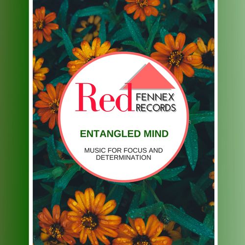 Entangled Mind - Music For Focus And Determination