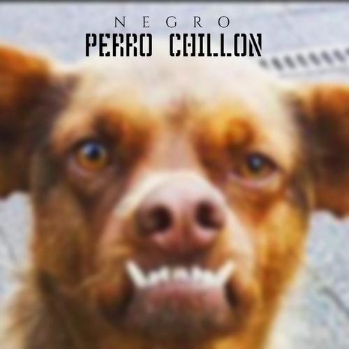 Perro Chillon