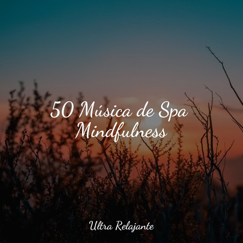 50 Música de Spa Mindfulness