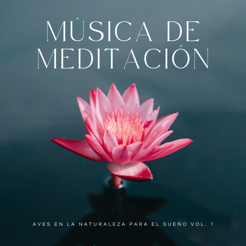 Música De Meditación: Aves En La Naturaleza Para El Sueño Vol. 1