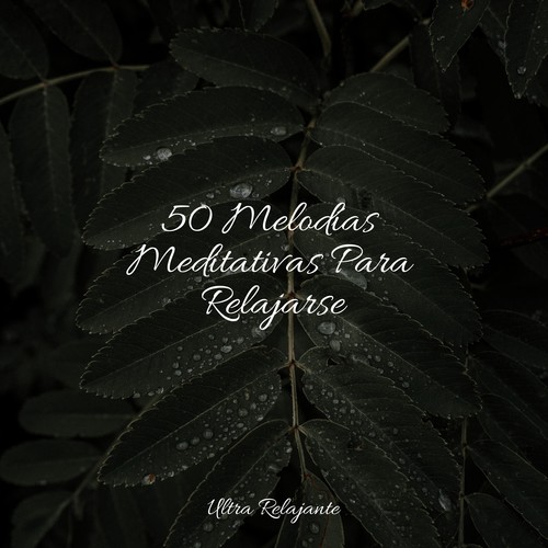 50 Melodías Meditativas Para Relajarse