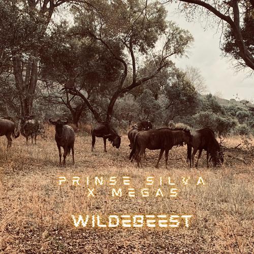 Wildebeest