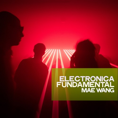 Electronica Fundamental