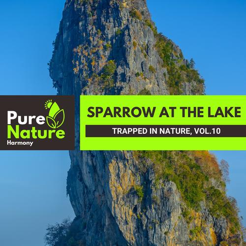 Sparrow at The Lake - Trapped in Nature, Vol.10