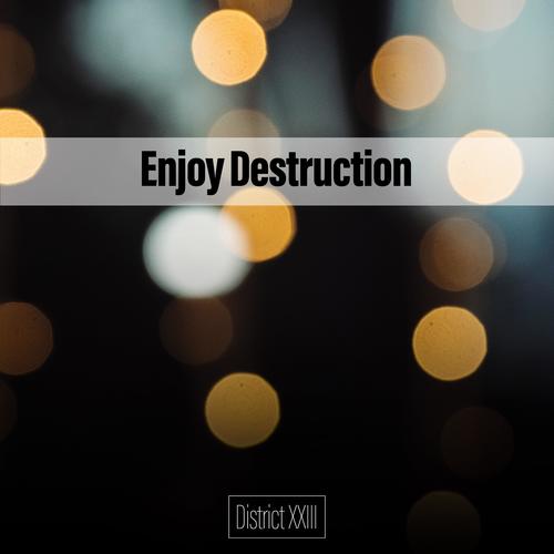 Enjoy Destruction District XXIII