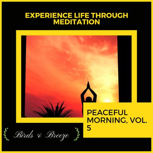 Experience Life Through Meditation - Peaceful Morning, Vol. 5