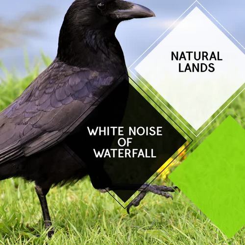 White Noise of Waterfall - Natural Lands