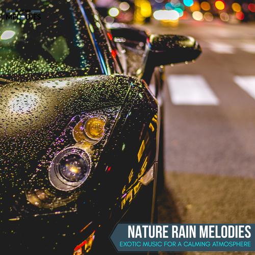 Nature Rain Melodies - Exotic Music for A Calming Atmosphere