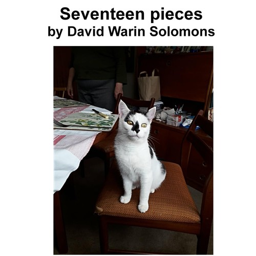17 Pieces by David Warin Solomons
